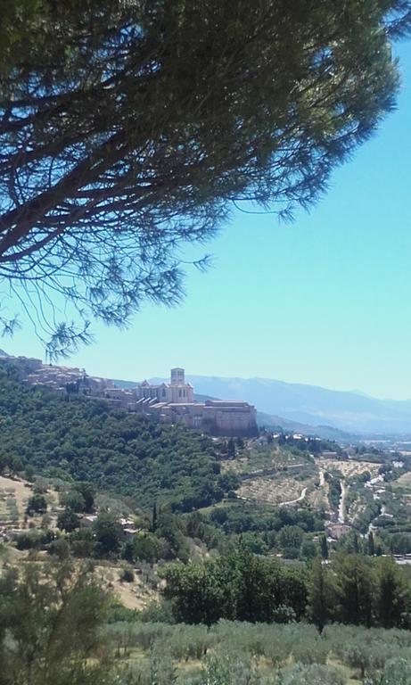 أسيسي B&B Colle San Francesco المظهر الخارجي الصورة