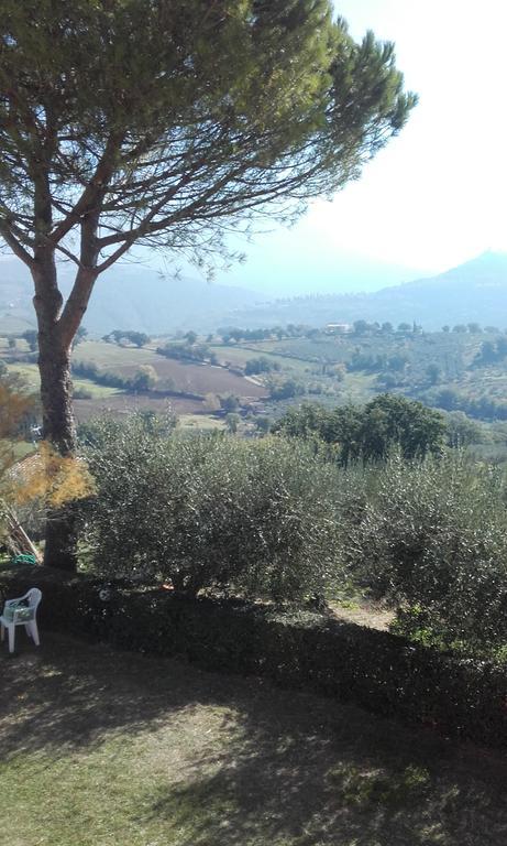 أسيسي B&B Colle San Francesco المظهر الخارجي الصورة